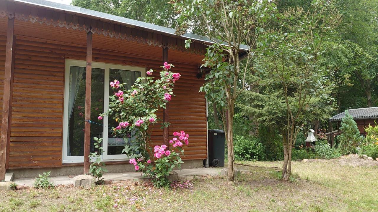 Waldhaus Halvor Villa Zichtau Exterior photo