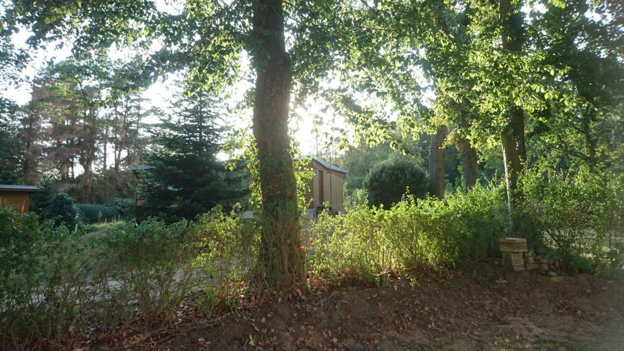 Waldhaus Halvor Villa Zichtau Exterior photo